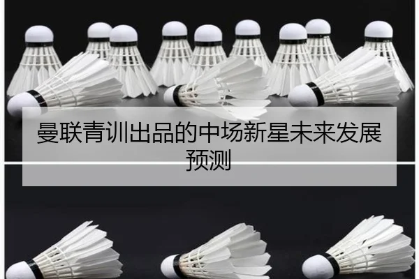 曼联青训出品的中场新星未来发展预测